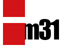 vm31