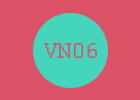 vn06