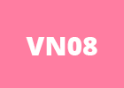 vn08