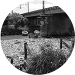 logo1