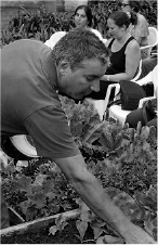 Huerta Orgánica