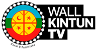 Wallkintun