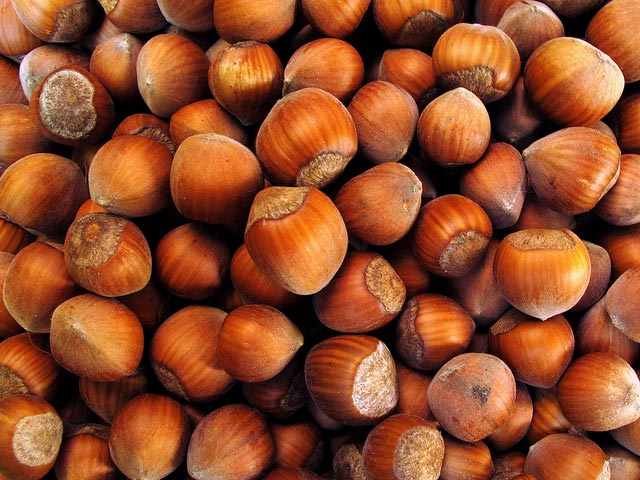 avellana