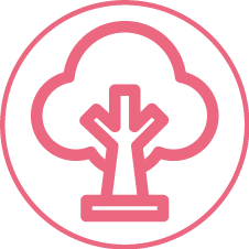 logo ceibo