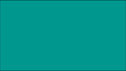 vm31