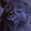 GoreFilm Edu