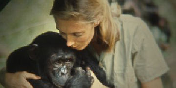 Jane Goodall