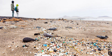 microplastico