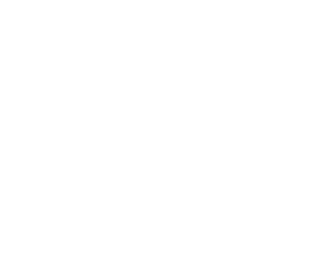 Logo de twitter