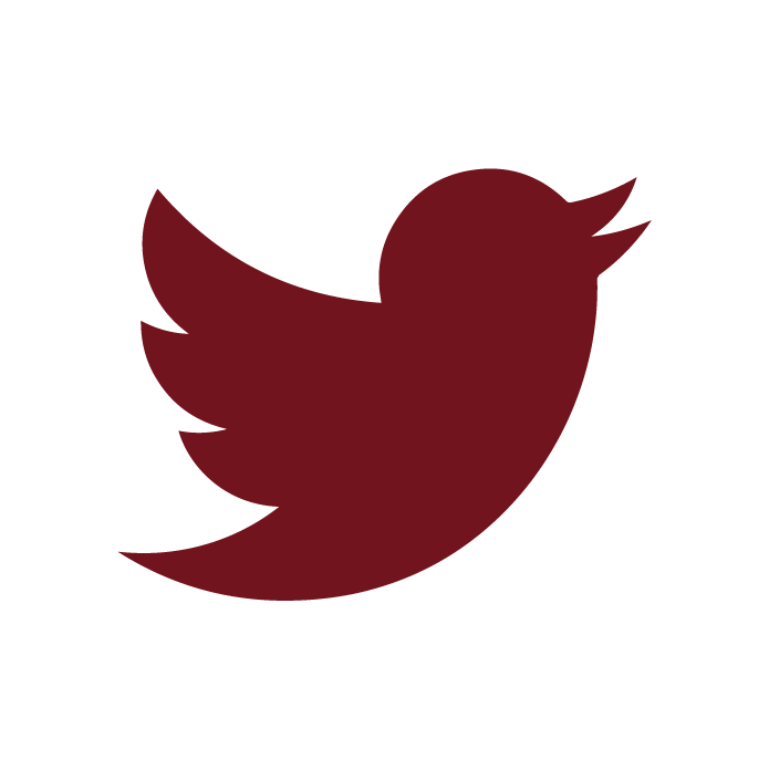 Logo twitter