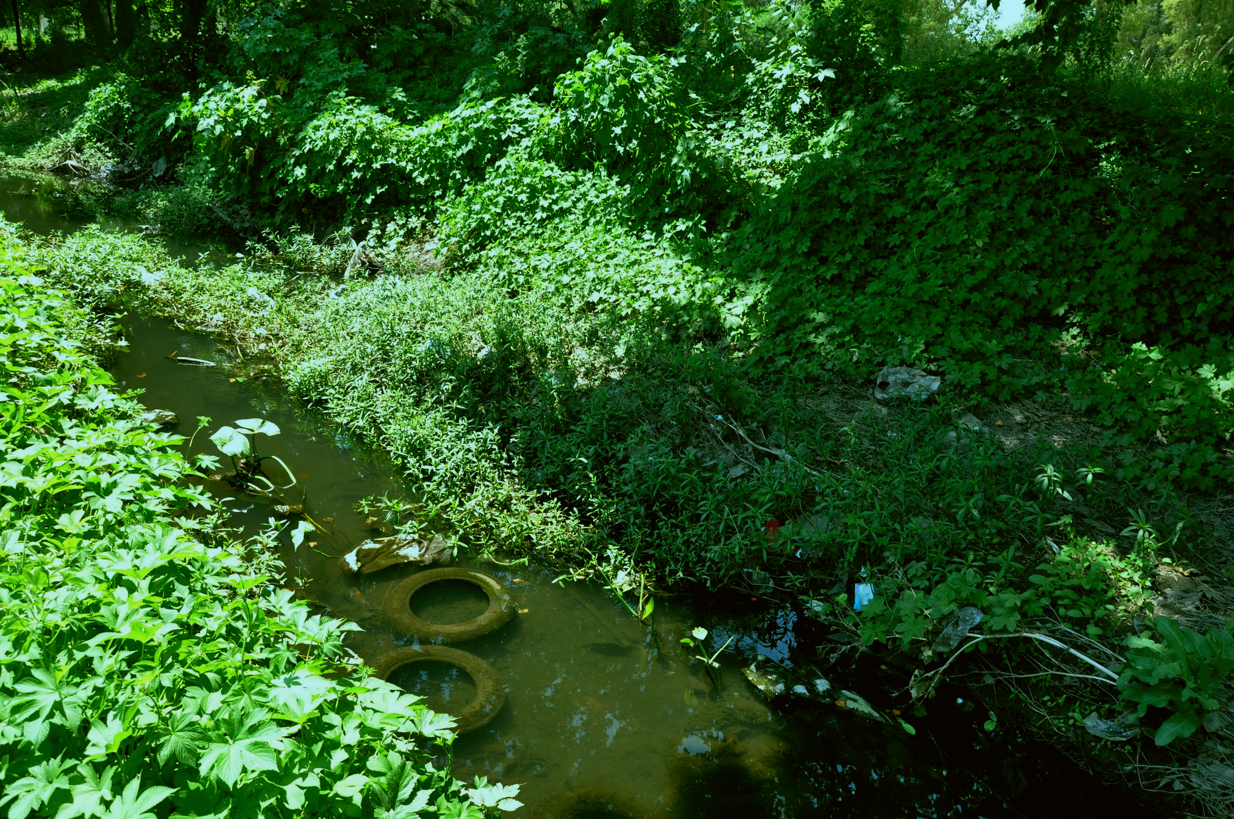 imagenes del riachuelo