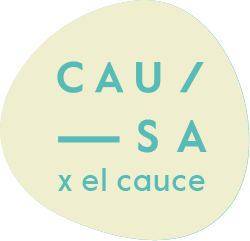 logo cauce