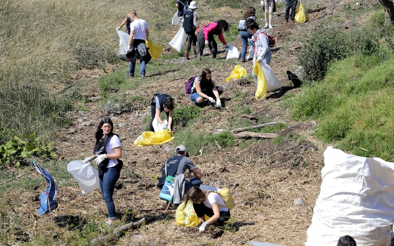 portada voluntarios