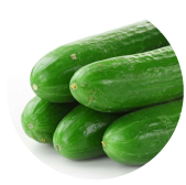 Pepinos