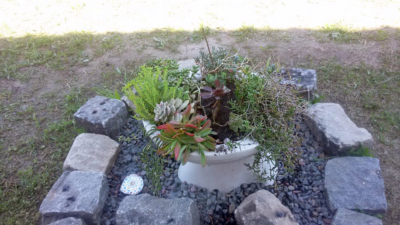 Foto1