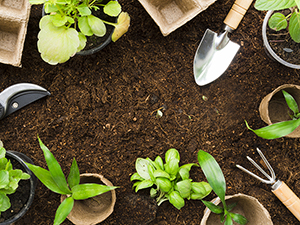 Técnico en Agroecología