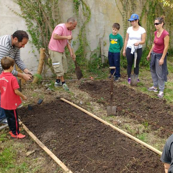 plantando