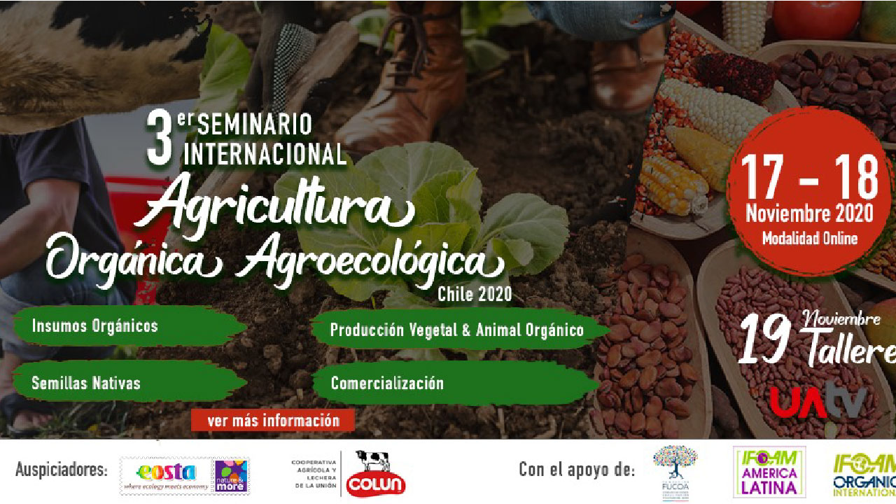 3° Seminario Internacional