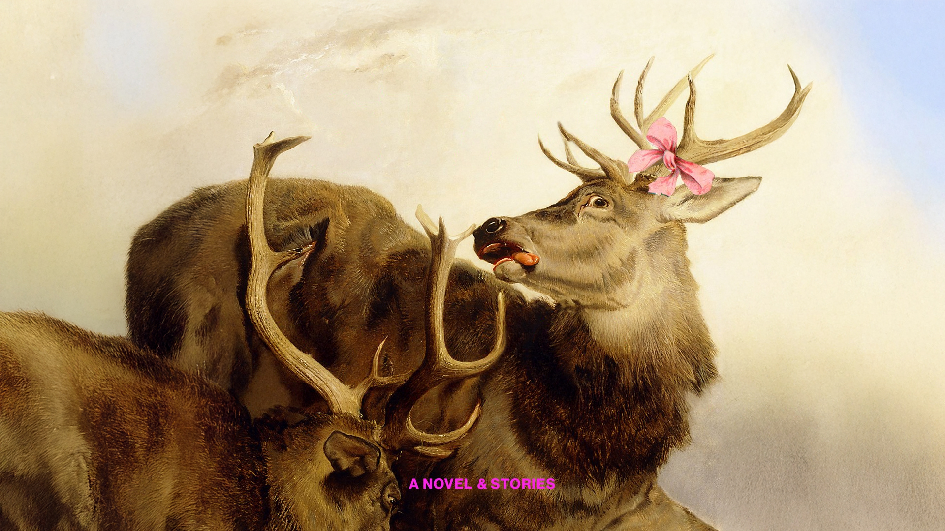 Stag Dance de Torrey Peters