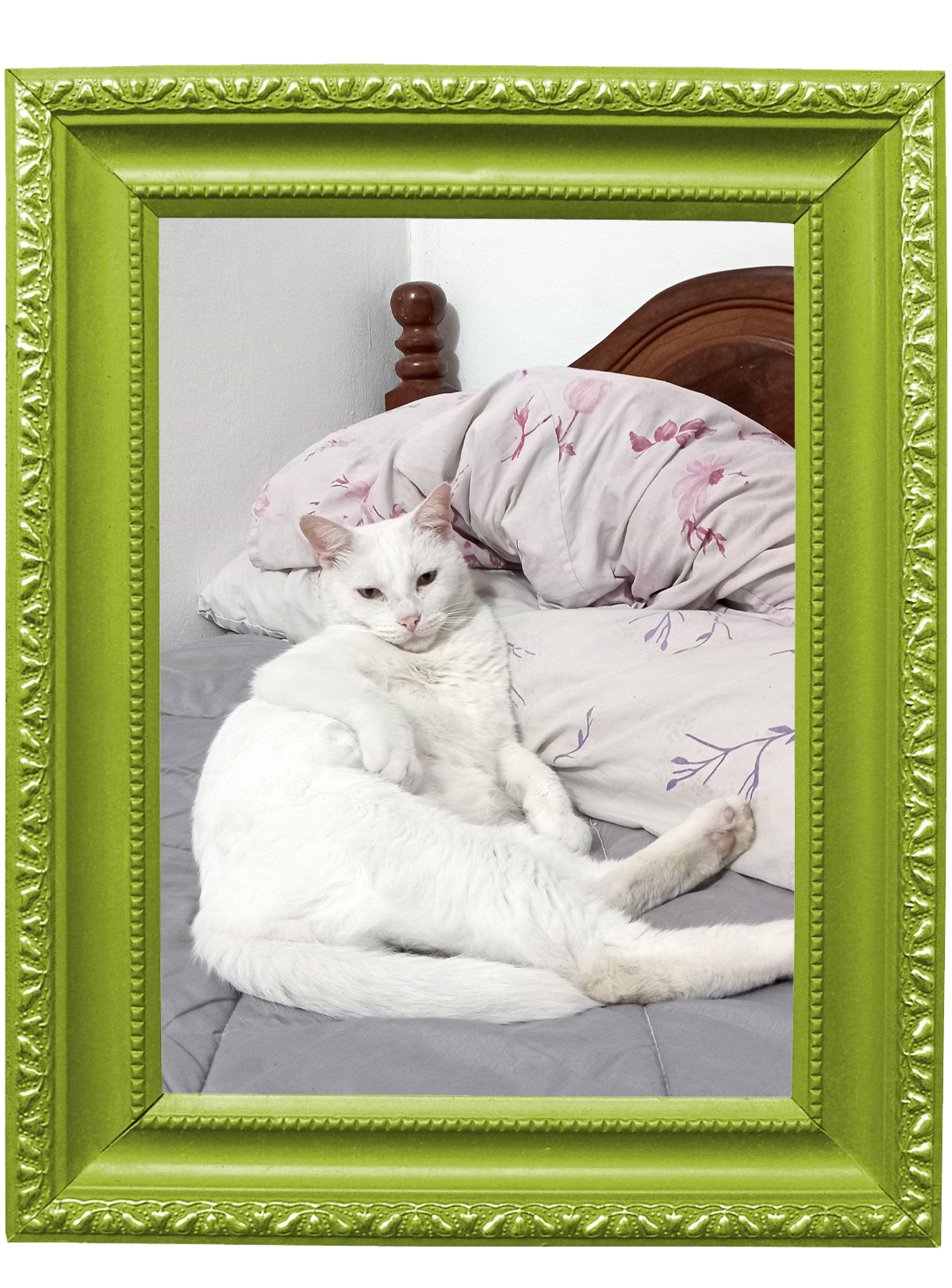 Foto de Poro