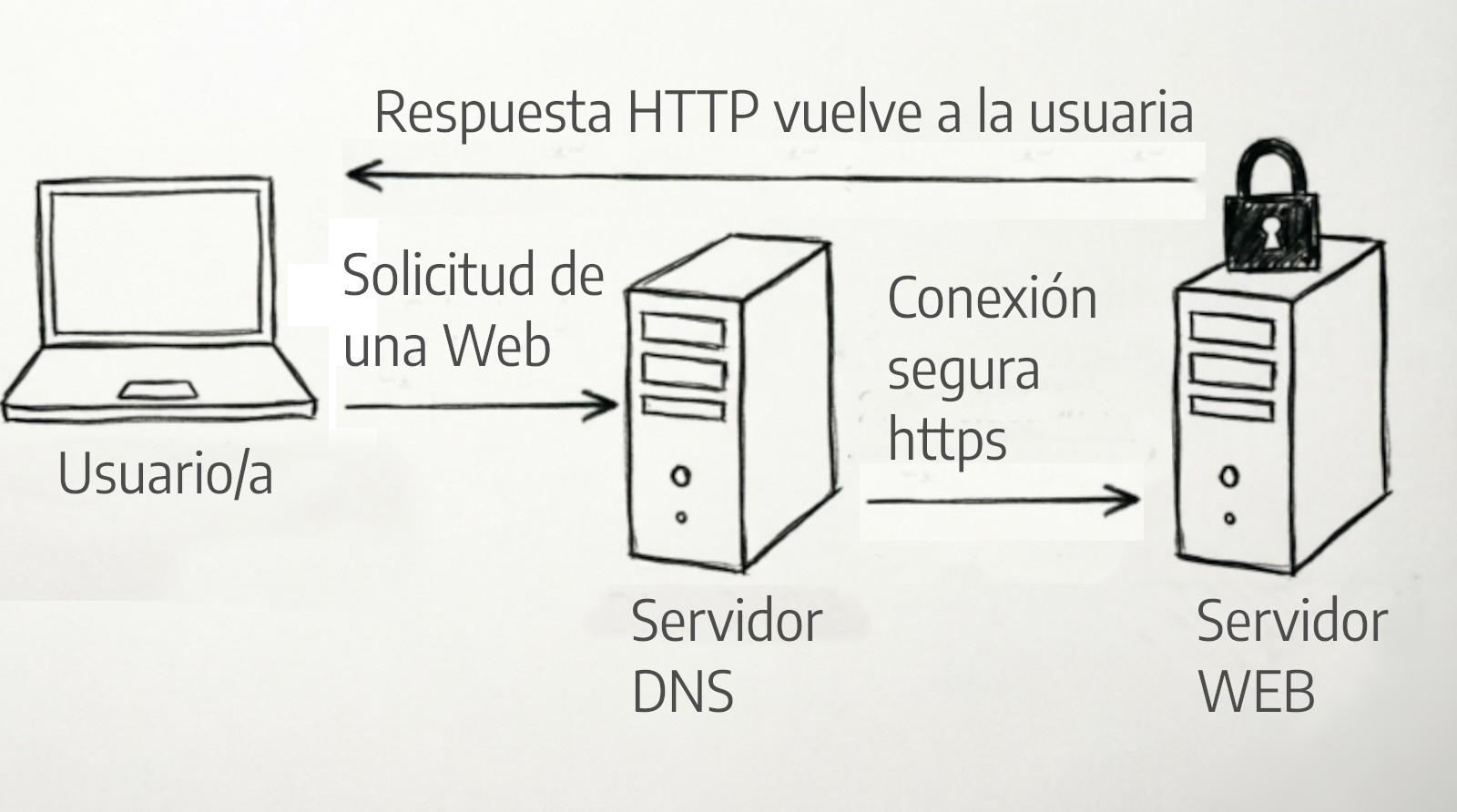 Funcionamiento Básico de la Web