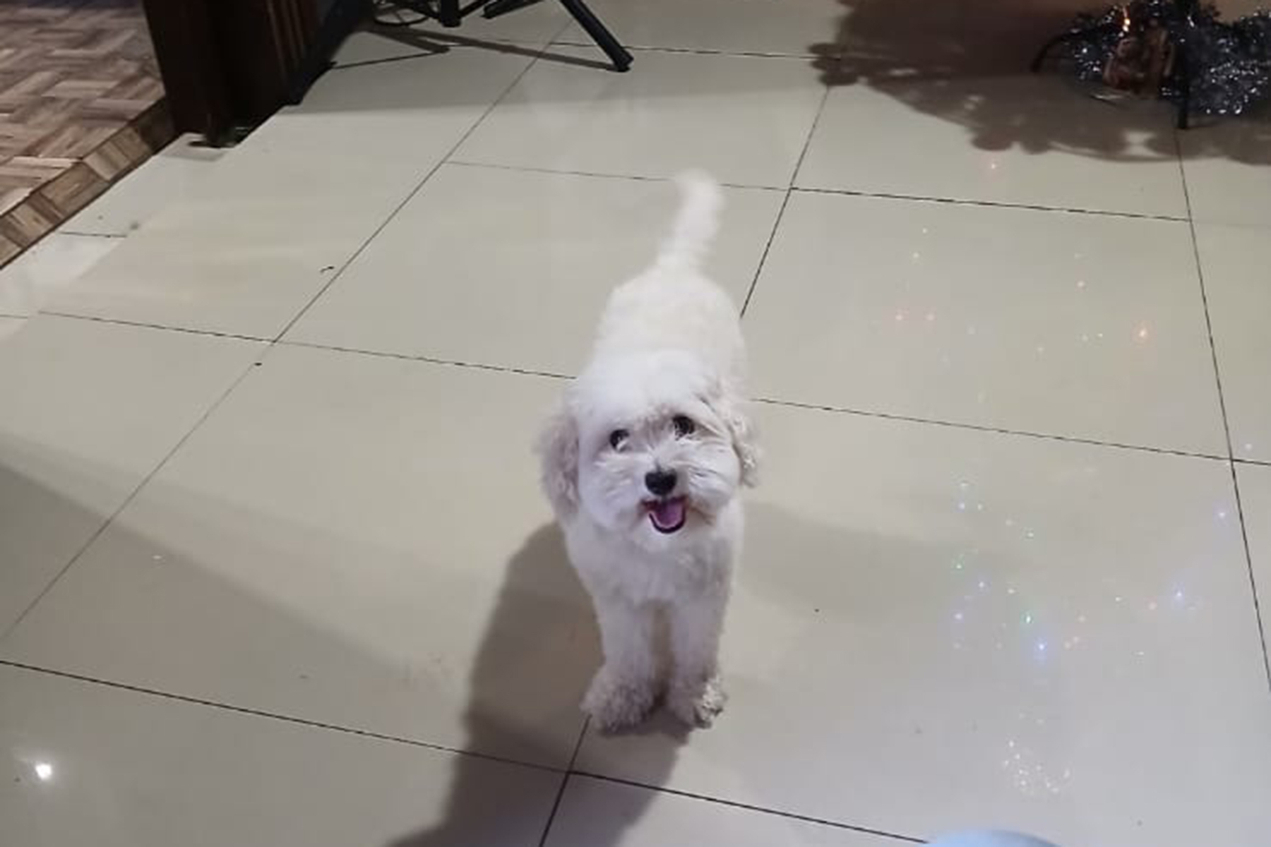BLANQUI