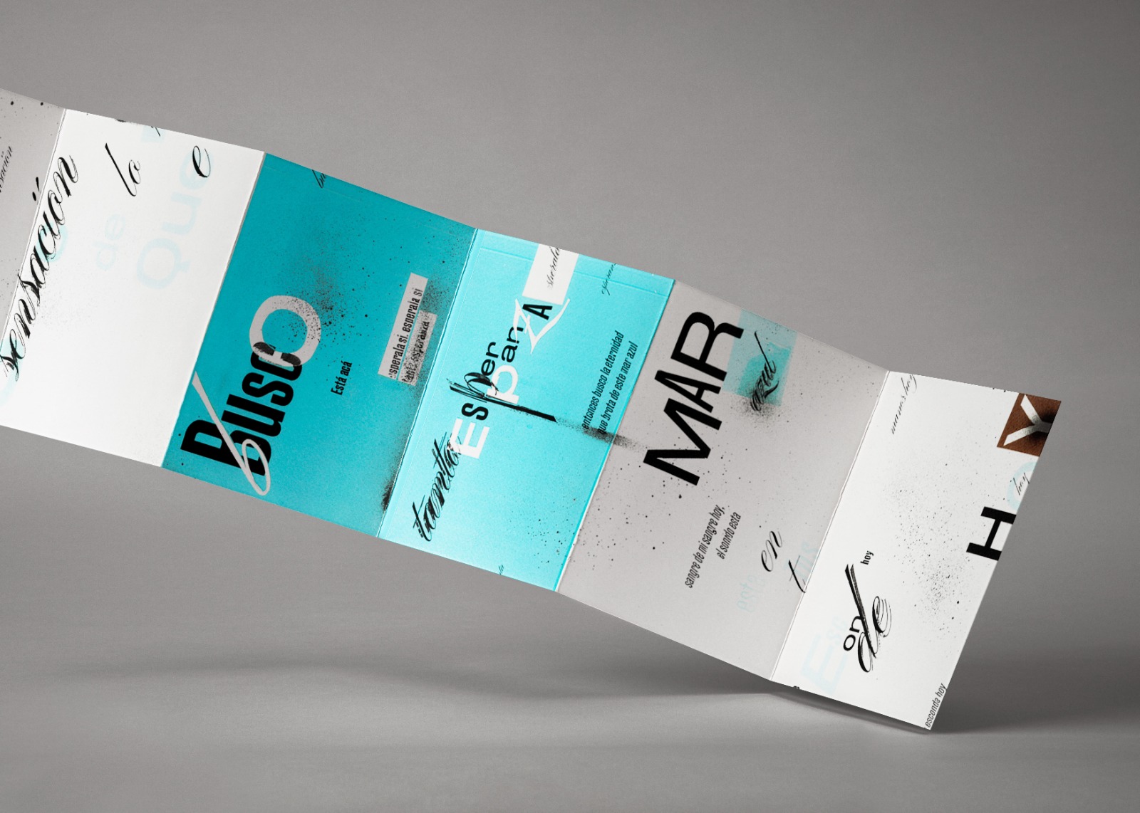 light blue and white brochure of twelve faces