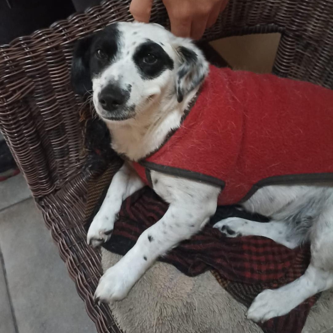 Foto de Pepi