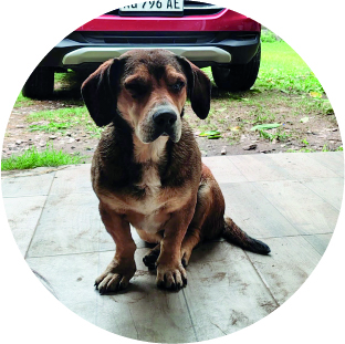 doby