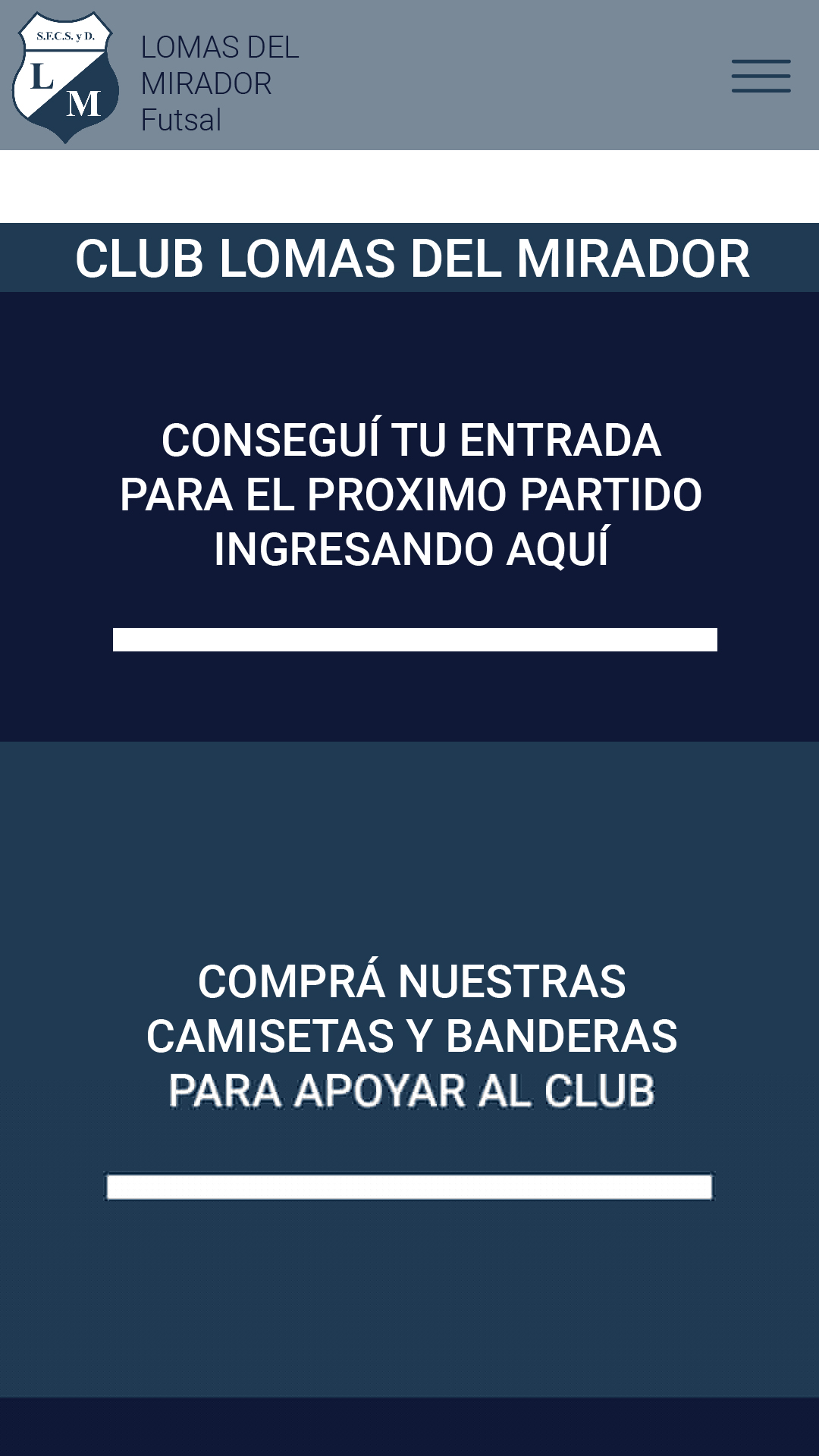 propuesta grafica celular entradas