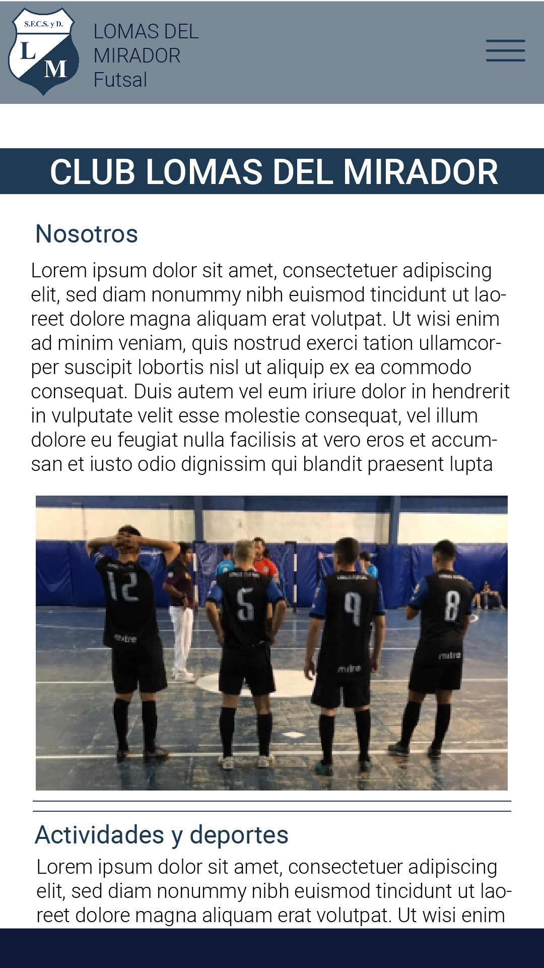 propuesta grafica celular nosotros