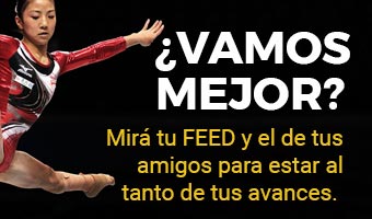 ver el feed