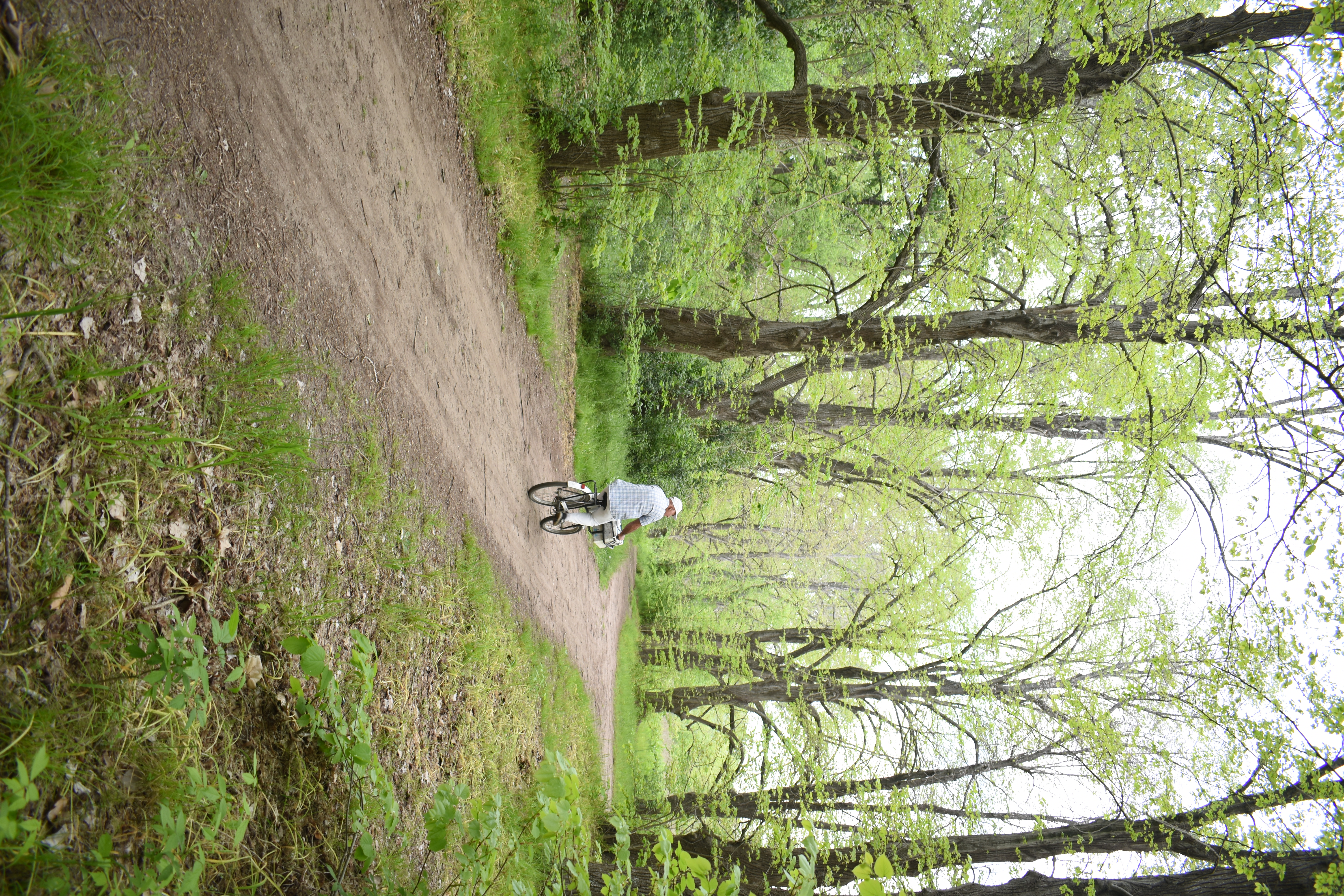 Vendedor de helados en bici por un sendero en el bosque